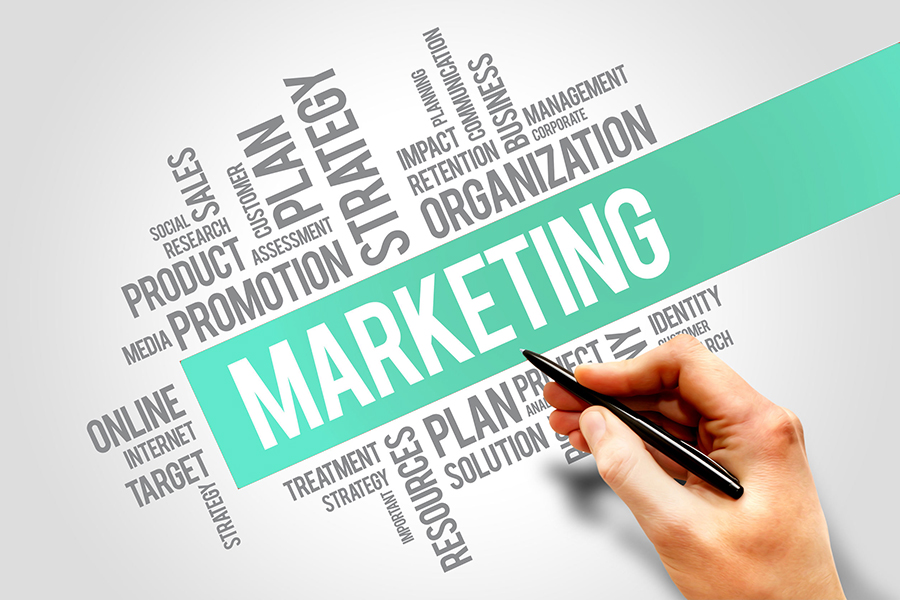 twojabaza-marketing-dla-firm-o-nas-social-media